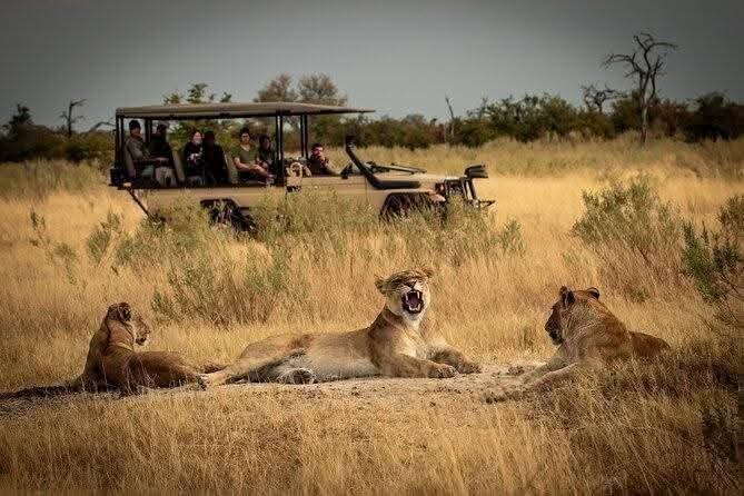 Mikumi Safari Zanzibar