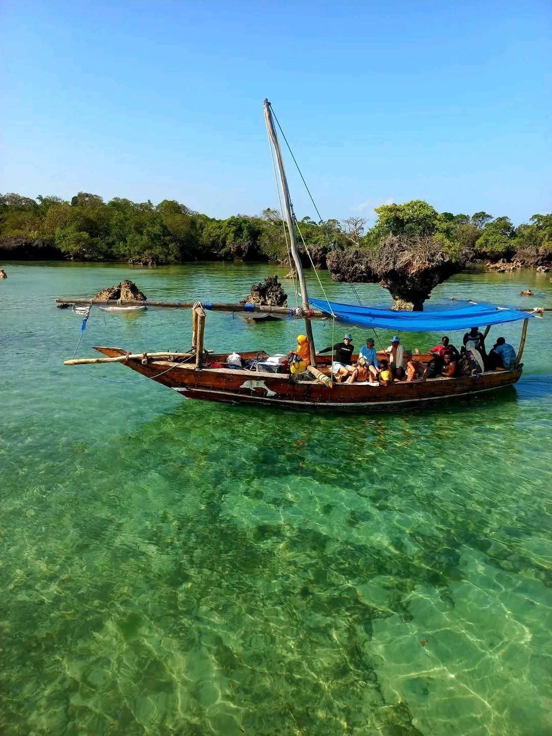 Safari Blue Zanzibar